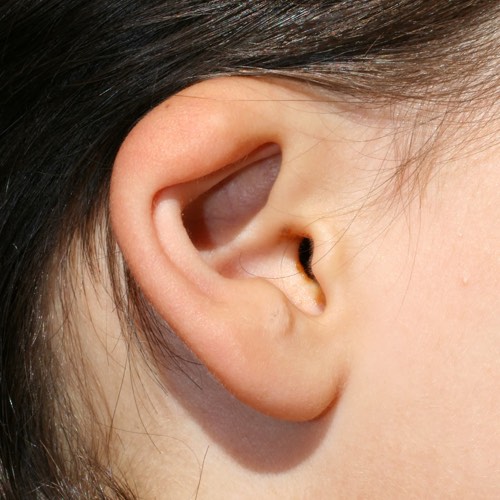 ear surgery at houston plastic surgery